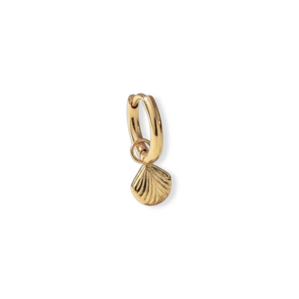 Little Shell | Single Oorbel